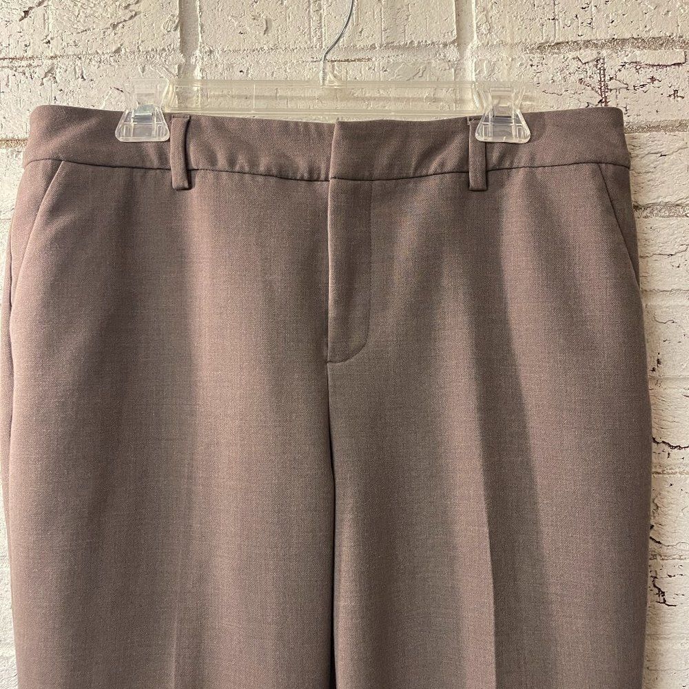 Charter Club Trouser Pants Brown 12